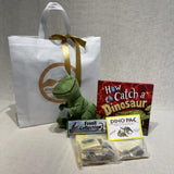 Dino Time Gift Bundle