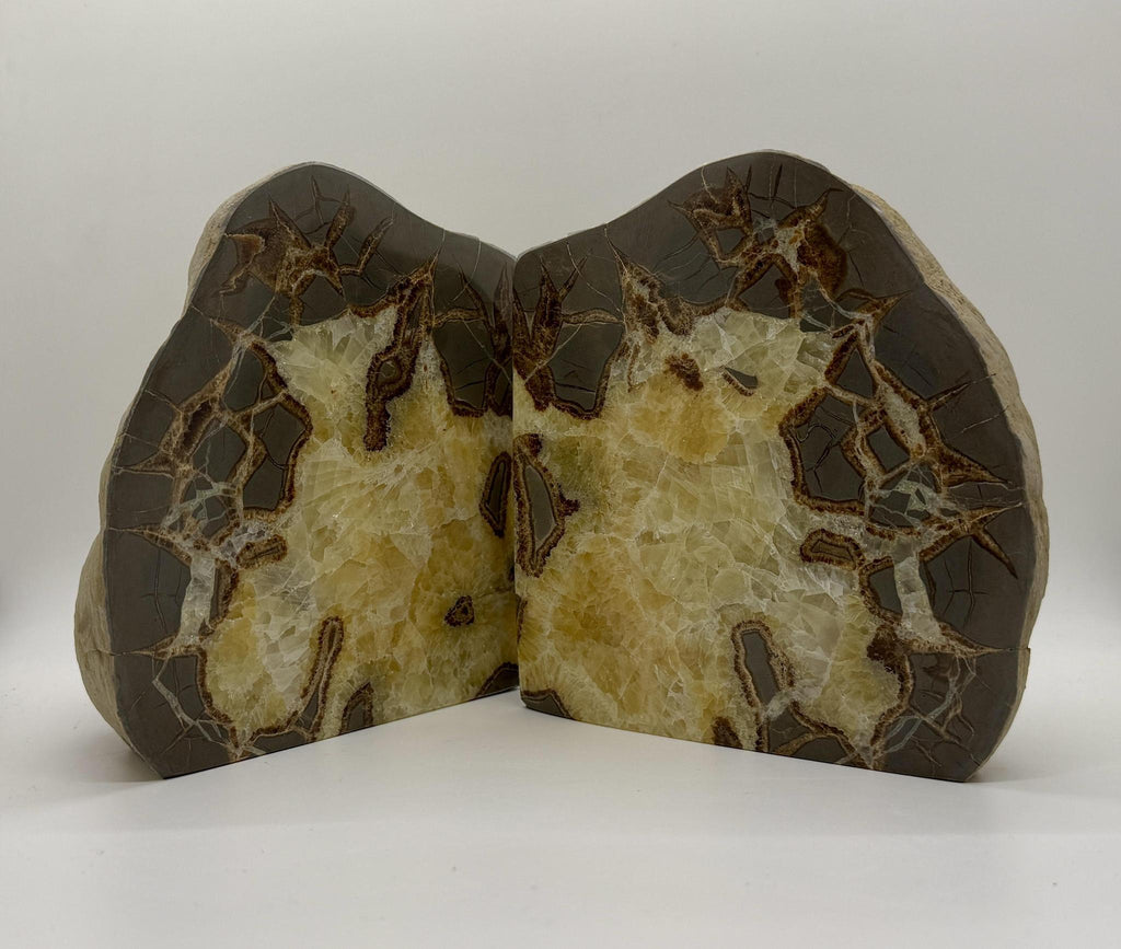 Septarian Book Ends