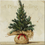 Pine Seedling Giclee Wall Art