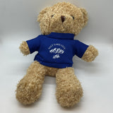 Plush Teddy Bear
