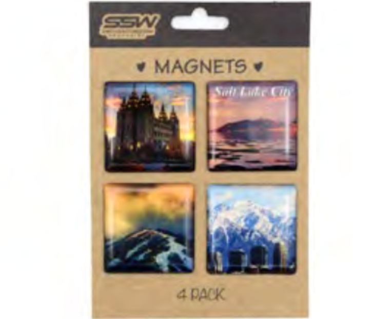 Magnet SLC 4 piece Epoxy Set