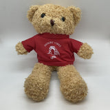 Plush Teddy Bear
