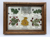 Framed Navajo Medicine Chart