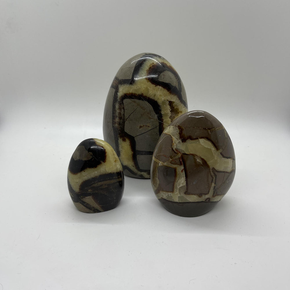 Septarian Oval Nodules