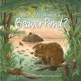 What Goes On Inside A Beaver Pond?
