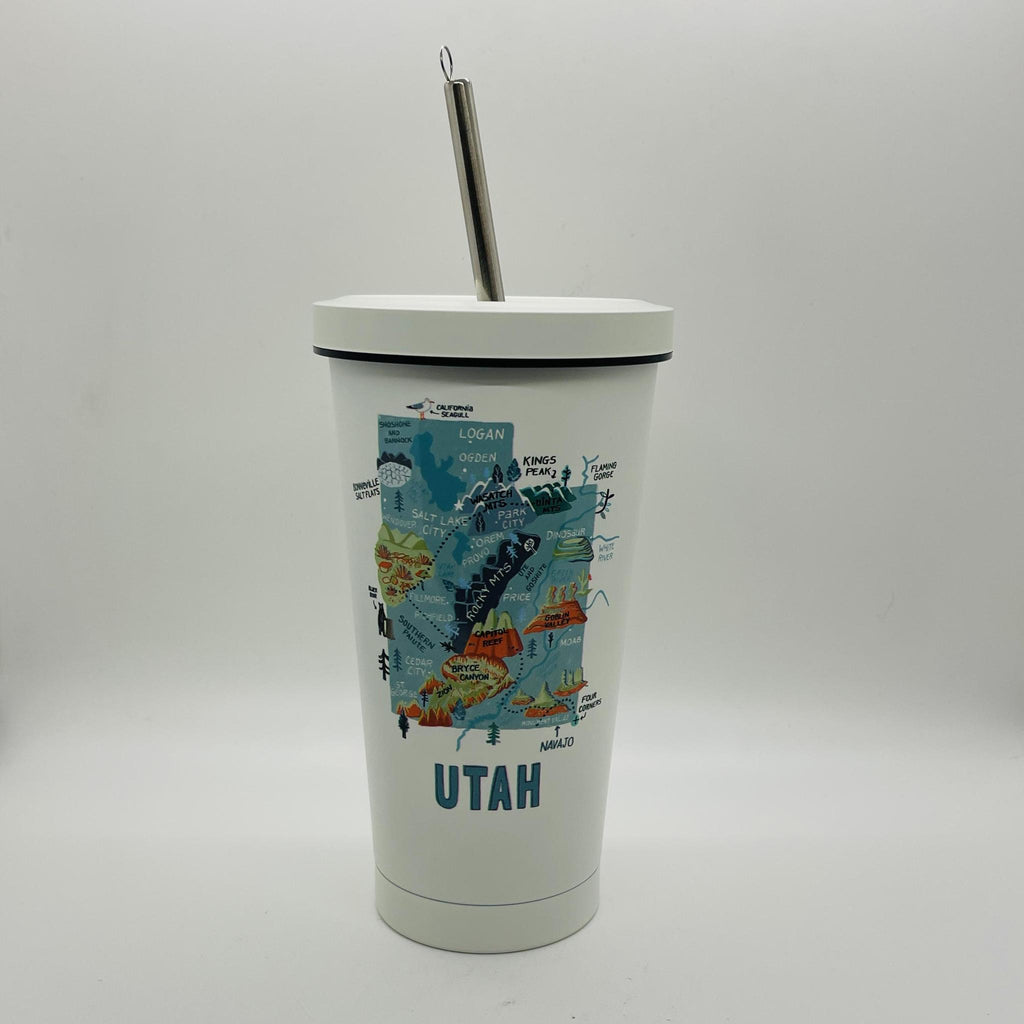 Metal Tumbler with Straw