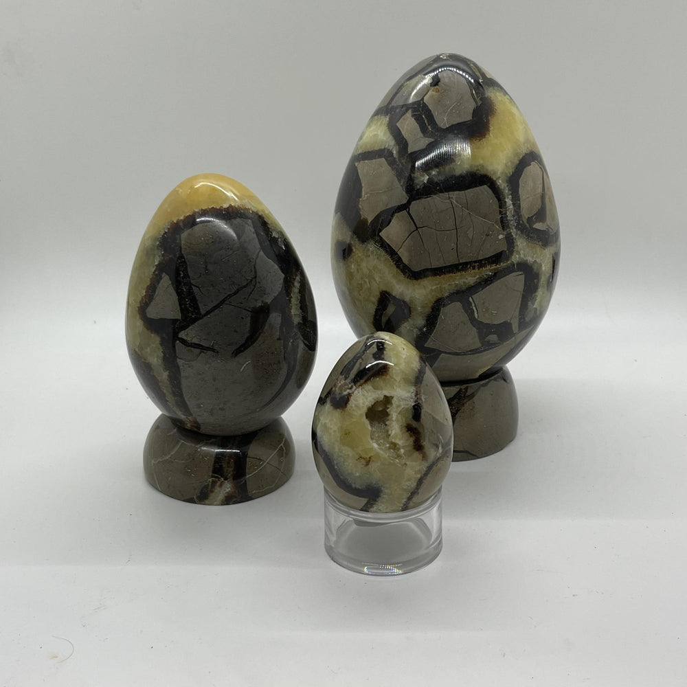 Septarian Egg with Stand