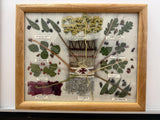 Framed Navajo Dye Chart