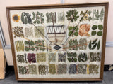 Framed Navajo Dye Chart