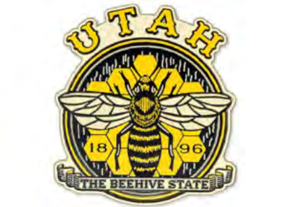 Magnet Beehive State