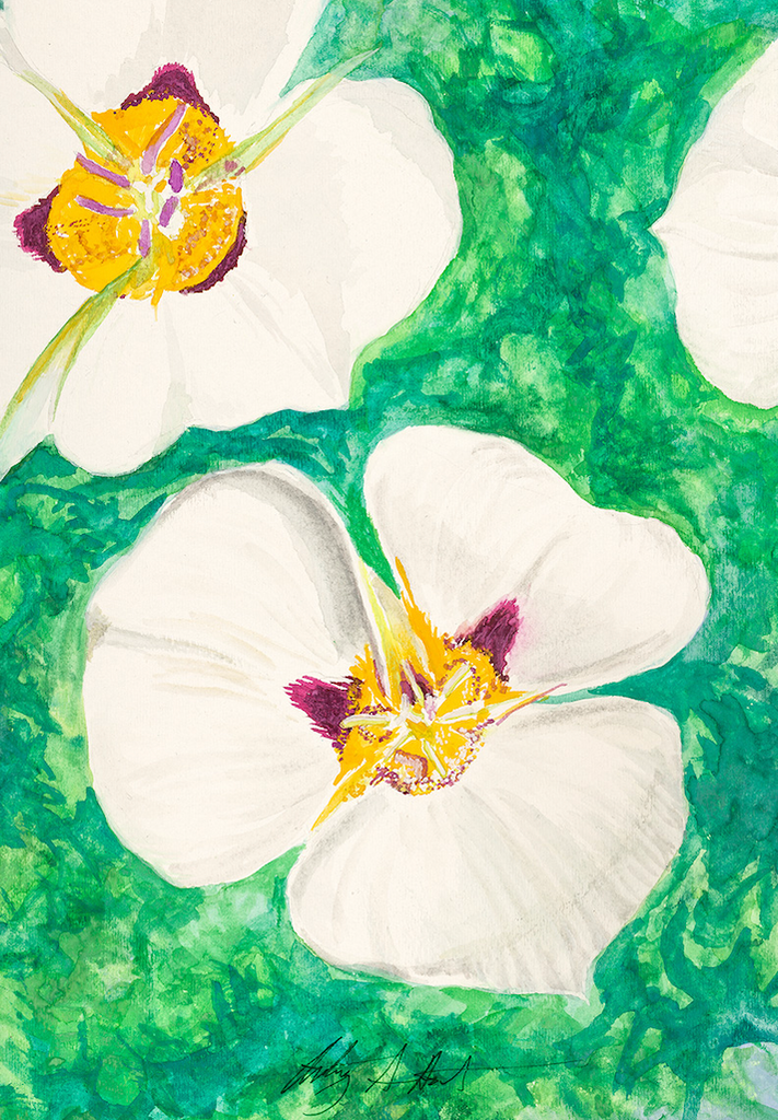 Utah Artistry Scarf Sego Lilly