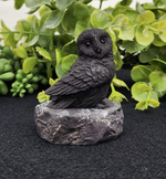 Shungite Figurine Owl Facing Sideways