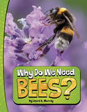 Why Do We Need Bees?