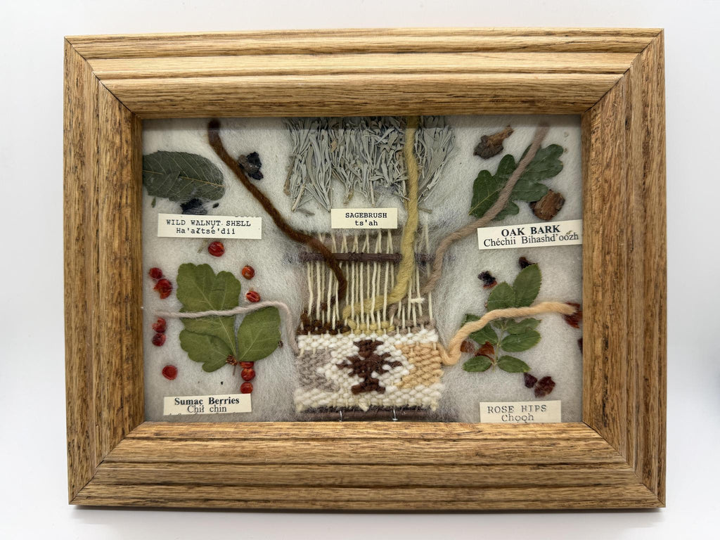 Framed Navajo Dye Chart