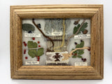 Framed Navajo Dye Chart