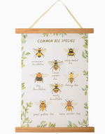 Common Bee Species Wall Decor