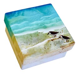 Capiz Box Sandpiper