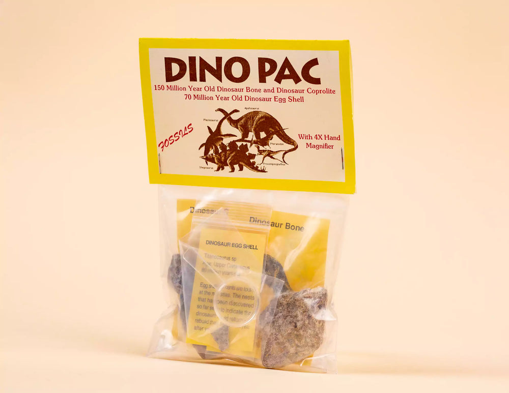 Dino Time Gift Basket