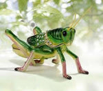 Jeweled Green Grasshopper Box