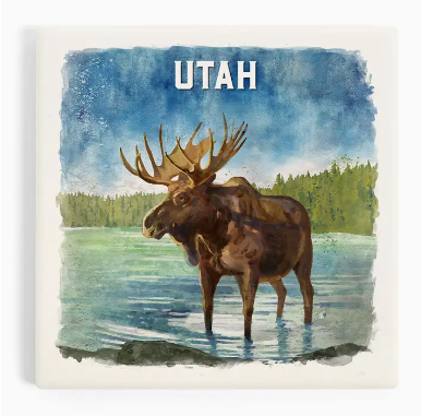 Ceramic Coaster Utah, Watercolor Study, Moose