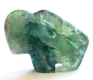 Fluorite Bison