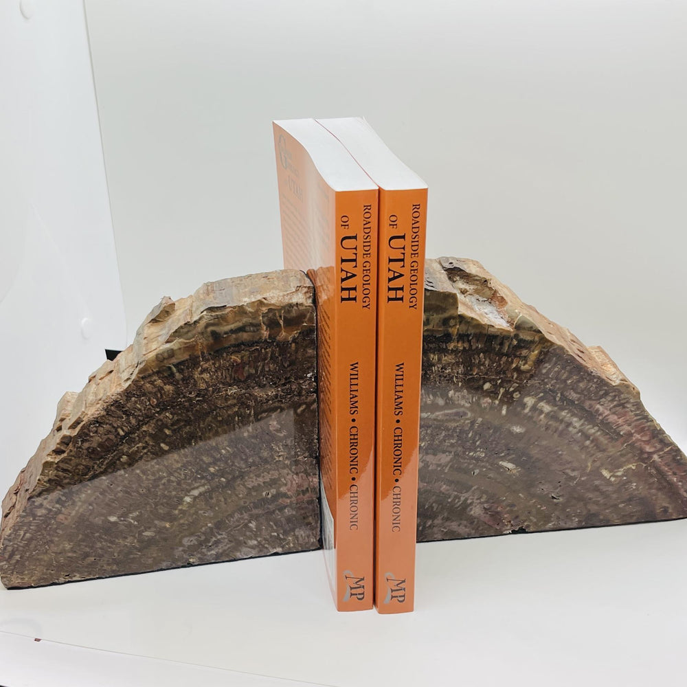 Petrified Wood Book Ends Set (2)
