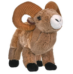 Bighorn Sheep