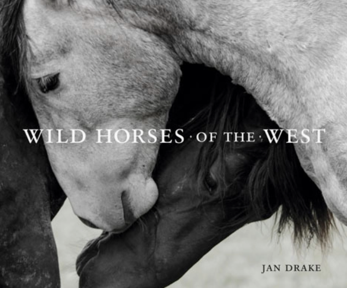 Wild Horses of the West : Photography Coffee Table Book