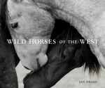 Wild Horses of the West : Photography Coffee Table Book