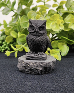 Shungite Figurine Owl Facing Front