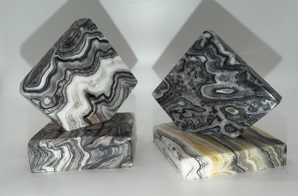 Zebra Paper Weights