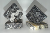 Zebra Paper Weights