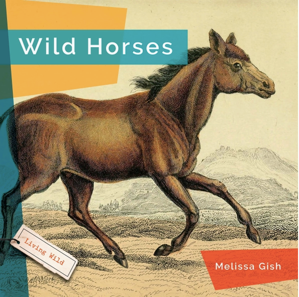 Living Wild: Wild Horses