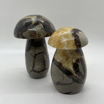 Septarian Mushrooms
