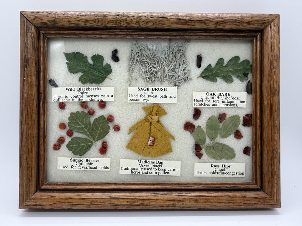 Framed Navajo Medicine Chart