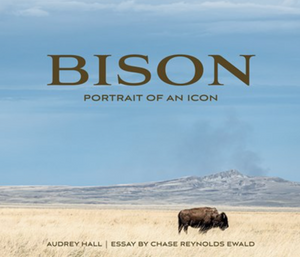 Bison: Portrait of An Icon